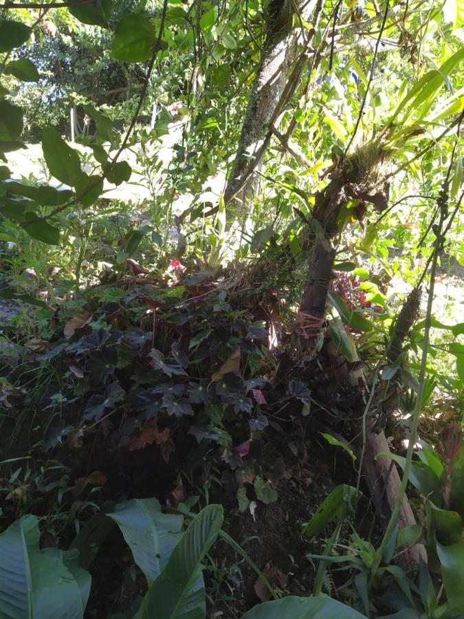 Eco Aldea Topacio Sasaima Exterior foto